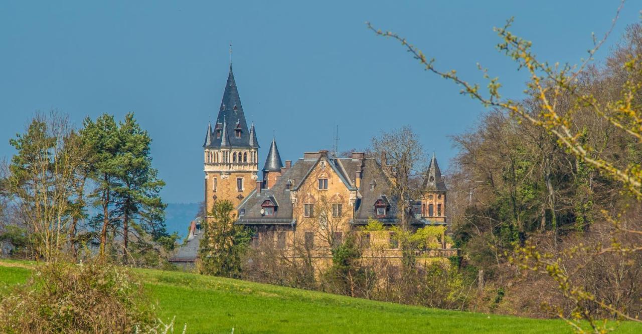 Seenswert - Vegane Pension Und Ferienwohnungen Am Ammersee Pähl Buitenkant foto